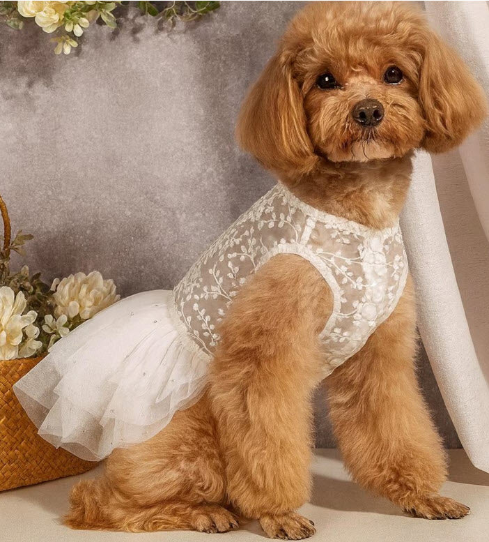 Luxury Dog Wedding Dress:
