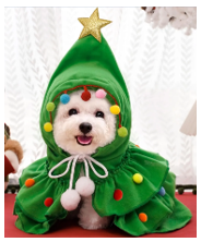 6315b3d0ede5eb3c453b03c0_christmas-dress_1759891784421.png