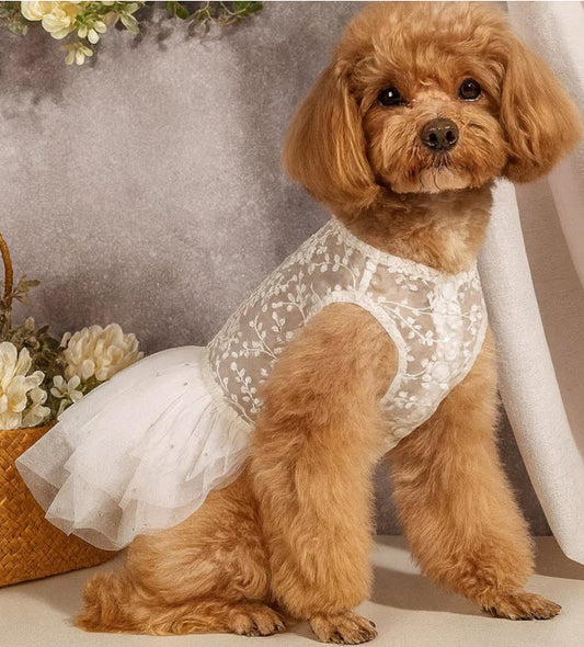 Luxury Dog Wedding Dress:
