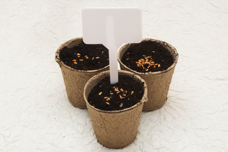 potted-seeds_925x.jpg
