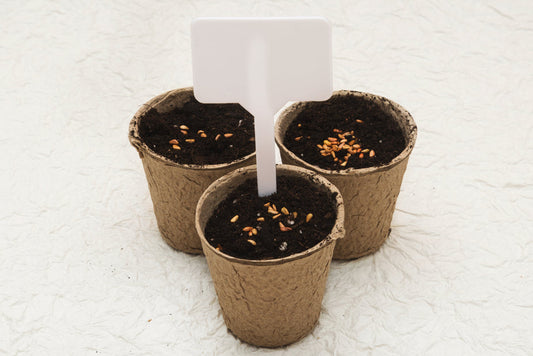 potted-seeds_925x.jpg